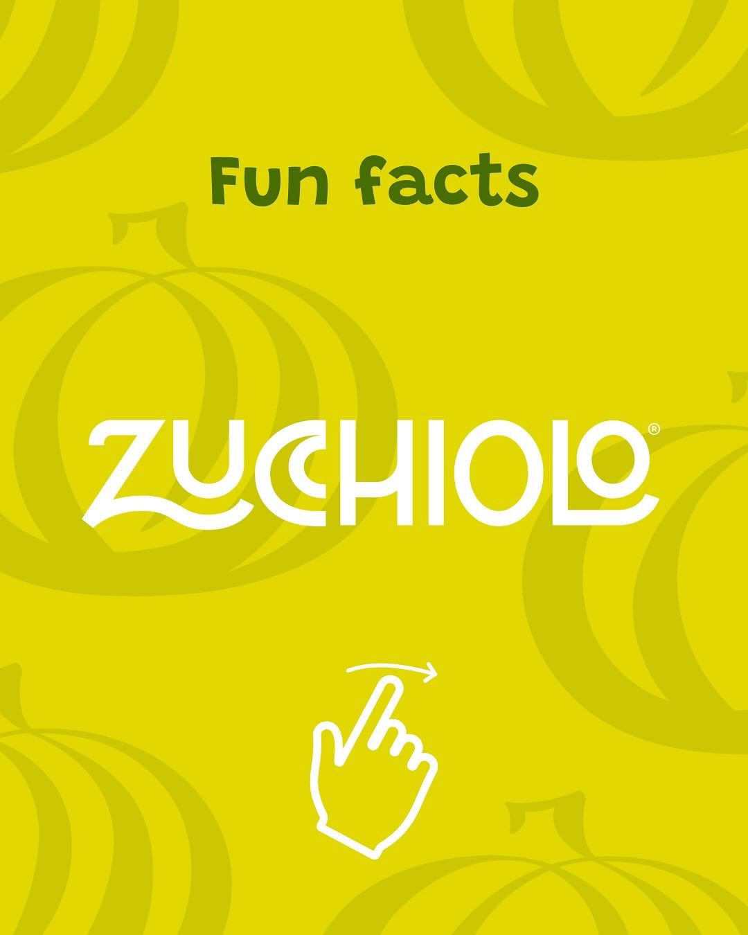 🌱 Fun Facts About Zucchiolo! 🌱
	
Dive into the world of Zucchiolo! From its unique shape and 𝐌𝐞𝐝𝐢𝐭𝐞𝐫𝐫𝐚𝐧𝐞𝐚𝐧 𝐫𝐨𝐨𝐭𝐬 to its role in groundbreaking health research, this veggie is more than just a tasty treat! 🥒💛

Swipe to learn fun facts about Zucchiolo and discover how it’s making an impact on wellness and innovation!
𝐋𝐞𝐭’𝐬 𝐤𝐞𝐞𝐩 𝐠𝐫𝐨𝐰𝐢𝐧𝐠 𝐭𝐨𝐠𝐞𝐭𝐡𝐞𝐫. 🌿💪
#zucchiolo #superfood #healthyliving #innovation #mediterraneanvibes #wellness #freshandhealthy 

🌱 ¡Datos curiosos sobre el zucchiolo! 🌱
𝟏. 𝐔𝐧𝐚 𝐯𝐞𝐫𝐝𝐮𝐫𝐚 ú𝐧𝐢𝐜𝐚: ¡el zucchiolo no es la típica verdura! Con su forma ovalada y su color bicolor, es un giro fresco a tus verduras de siempre. 🍃✨
𝟐. 𝐁𝐞𝐬𝐚𝐝𝐚 𝐩𝐨𝐫 𝐞𝐥 𝐬𝐨𝐥: Cultivada bajo el cielo soleado del sur de España, ¡es pura bondad mediterránea! ☀️
𝟑. 𝐌á𝐬 𝐪𝐮𝐞 𝐬𝐚𝐛𝐫𝐨𝐬𝐨: Forma parte de una innovadora iniciativa sanitaria centrada en el bienestar y la lucha contra enfermedades como el cáncer. 

🌱 ¡Sumérgete en el mundo del Zucchiolo! Desde su forma única y sus 𝐫𝐚í𝐜𝐞𝐬 𝐦𝐞𝐝𝐢𝐭𝐞𝐫𝐫á𝐧𝐞𝐚𝐬 hasta su papel en una innovadora investigación sobre la salud, ¡esta verdura es algo más que una sabrosa golosina! 🥒💛
Desliza el dedo para conocer datos curiosos sobre el Zucchiolo y descubrir cómo está influyendo en el bienestar y la innovación.
𝐒𝐢𝐠𝐚𝐦𝐨𝐬 𝐜𝐫𝐞𝐜𝐢𝐞𝐧𝐝𝐨 𝐣𝐮𝐧𝐭𝐨𝐬. 🌿💪