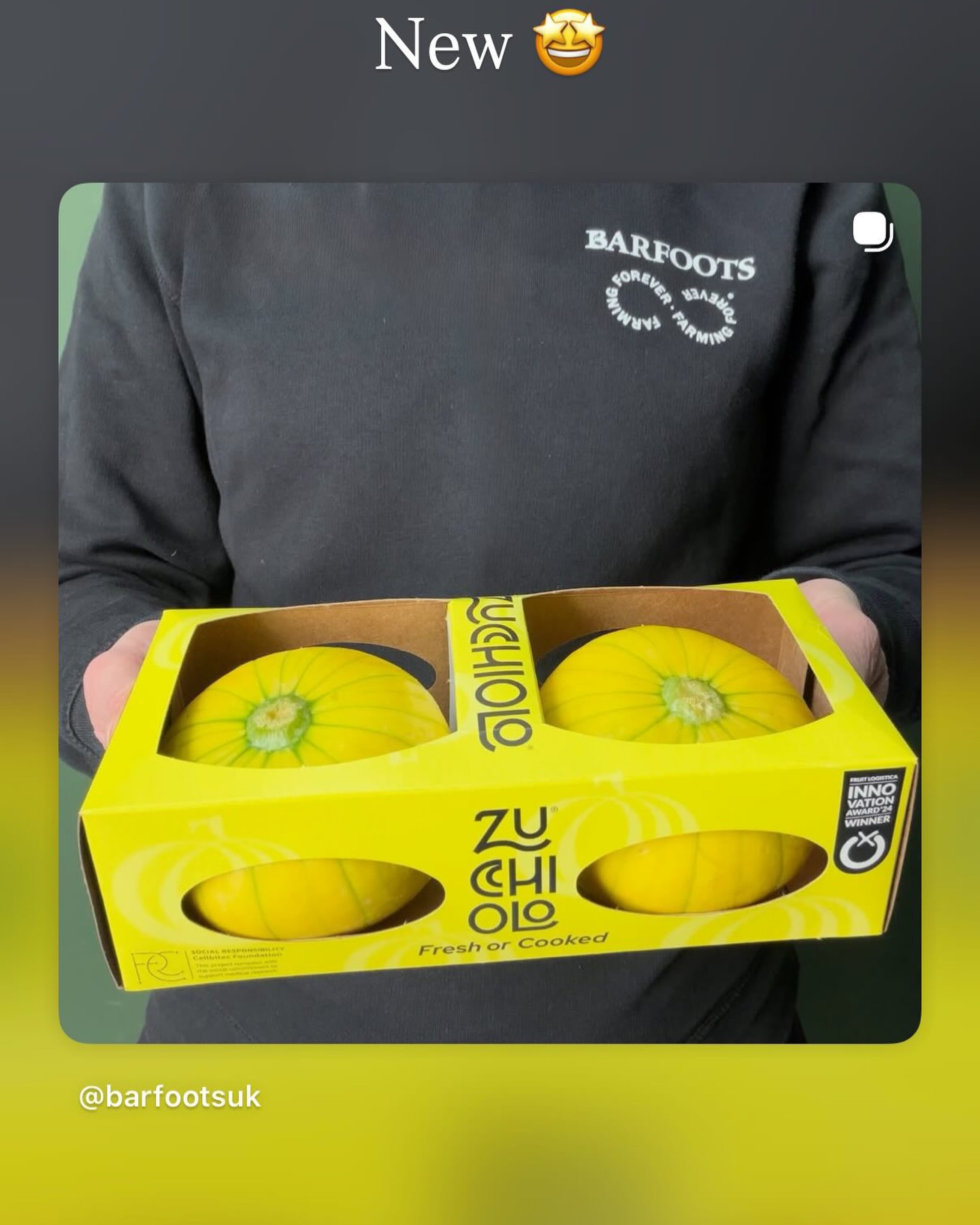 #Zucchilo A must-try in your kitchen!