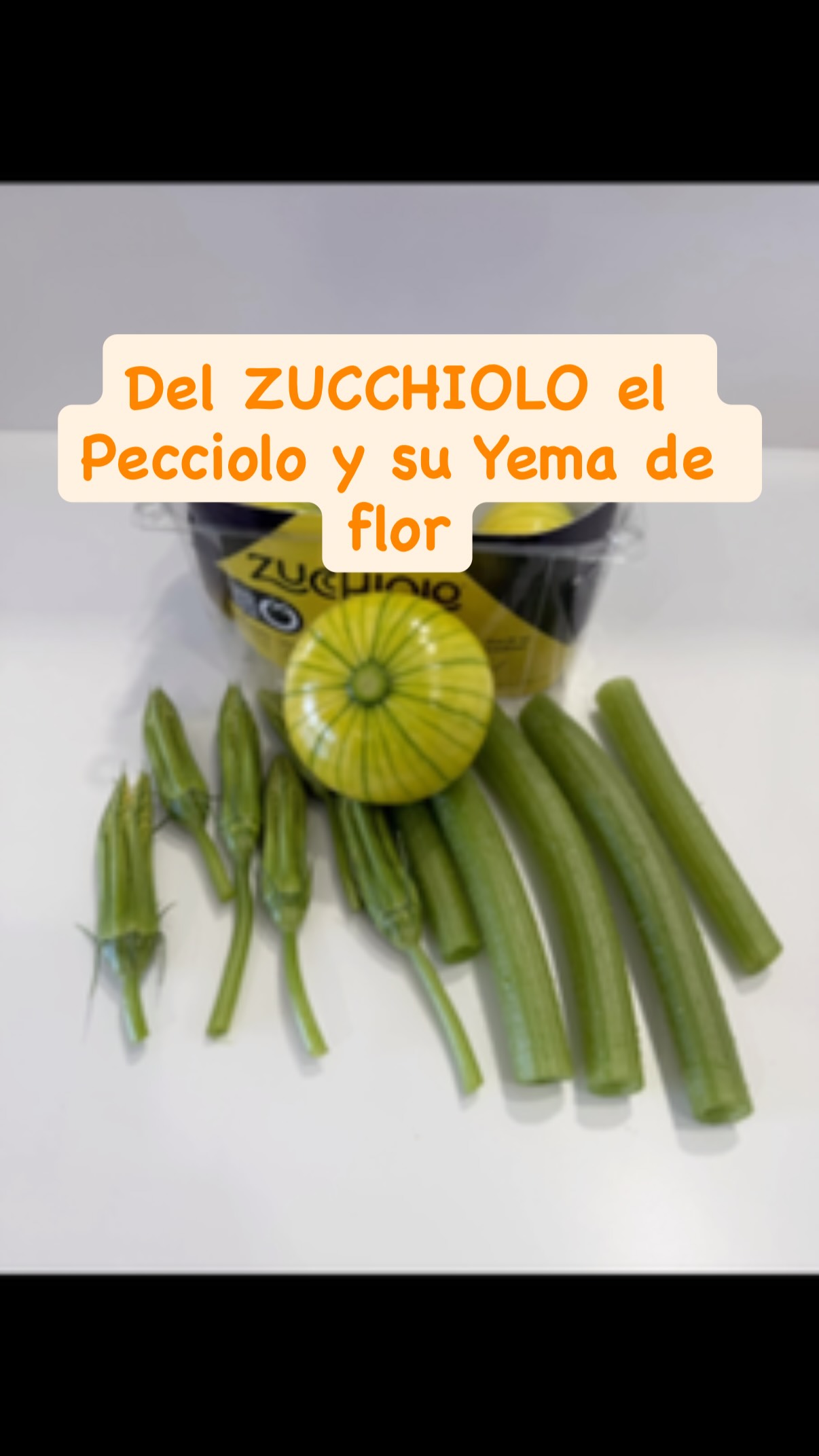 Del Zucchiolo el Pecciolo y su Yema de Flor